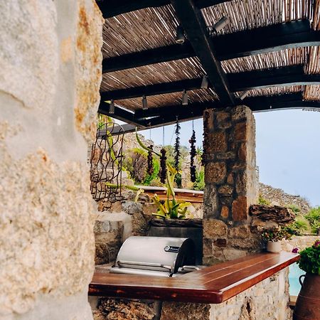 Villa Dimilia Mykonos Town Luaran gambar